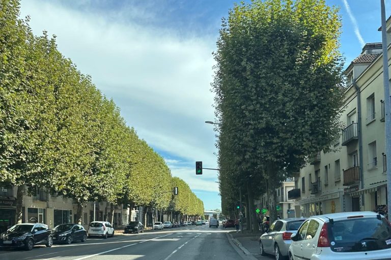 rue du 1er Mai